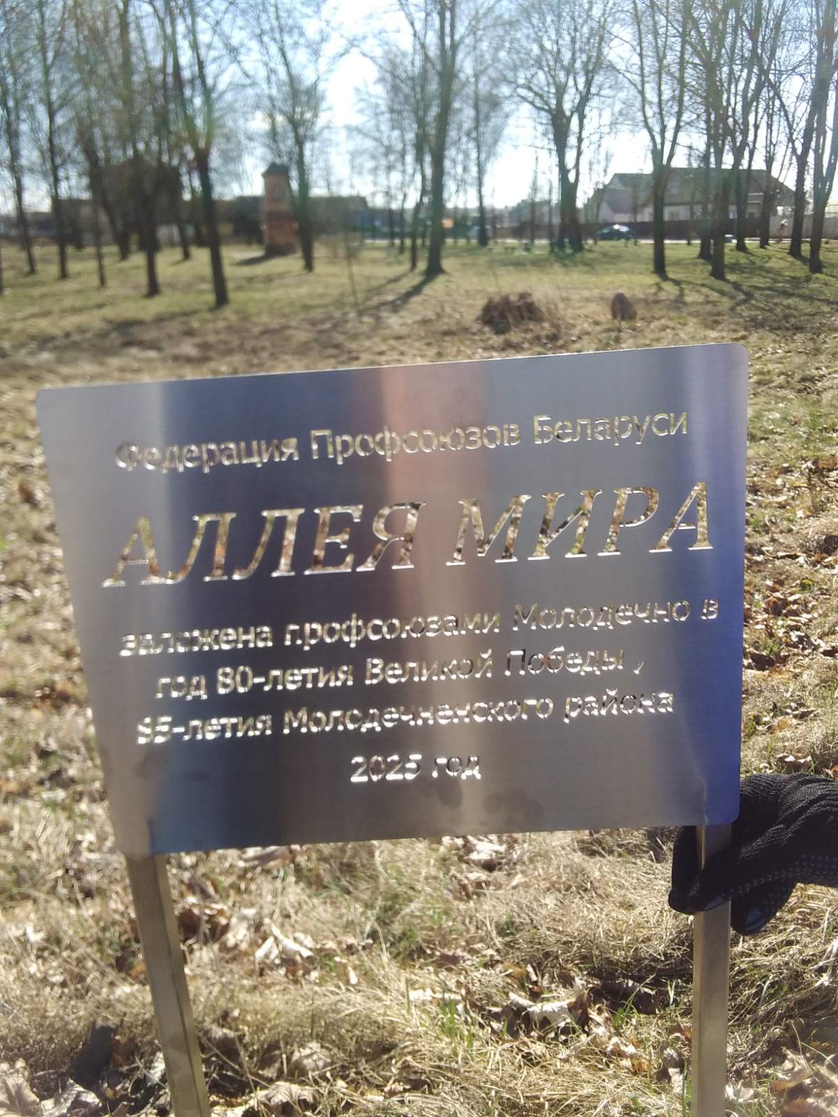 2аллемиар