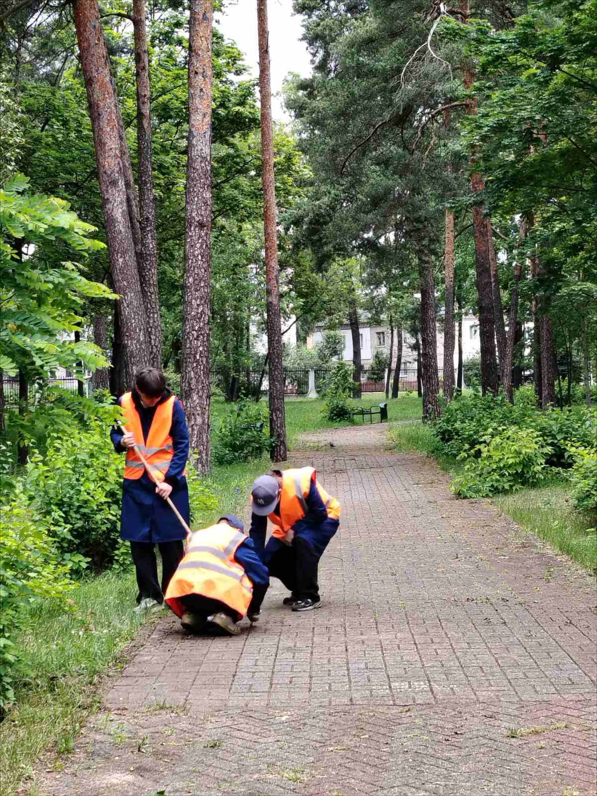 2упстудотр