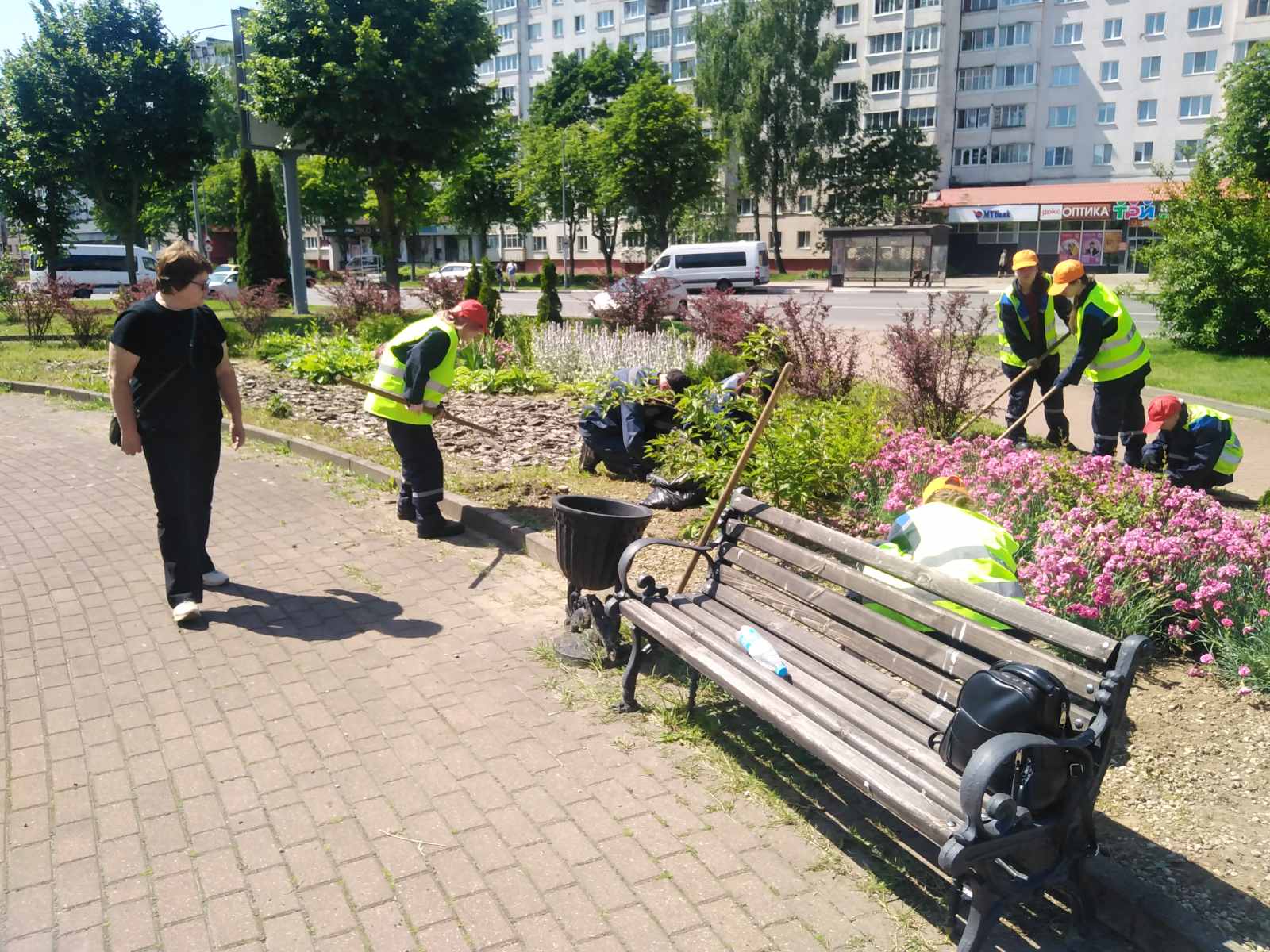 3студотр