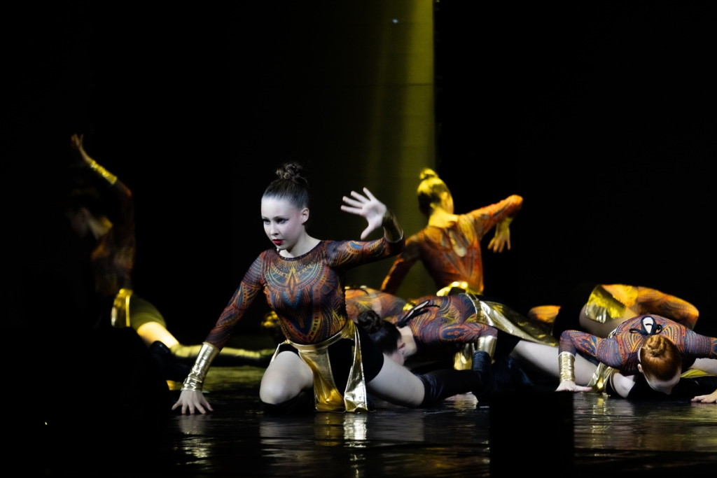 dol 7515 1024x683